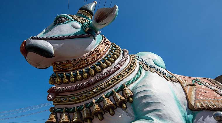 Madurai Rameshwaram Kanyakumari Tour Package - Image 2