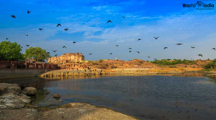 Agra Rajasthan Tour Package From Delhi - Image 3