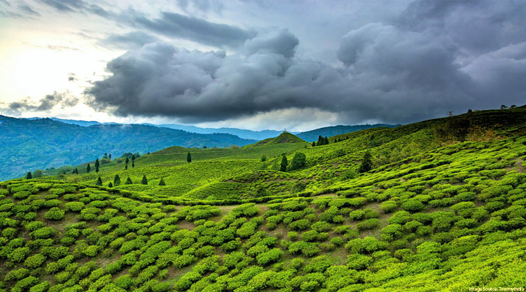 Assam Meghalaya Tour - Image 2