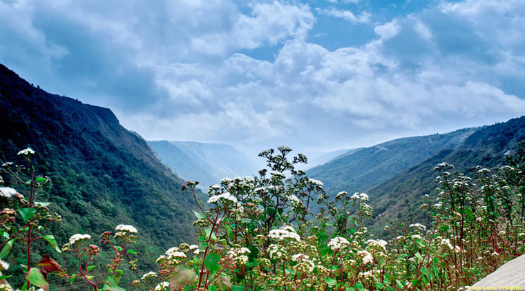 Assam Meghalaya Tour - Image 4