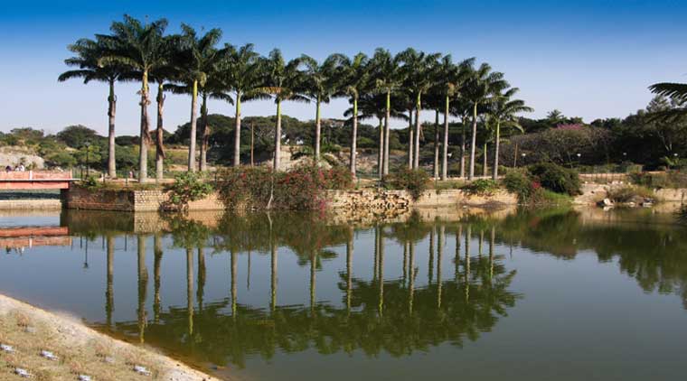 Bangalore Mysore Coorg Tour Package - Image 2