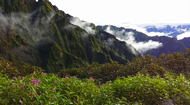 Chanap Valley Trek - Image 4