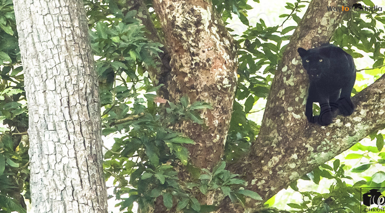 Coorg Kabini Tour Package - Image 4