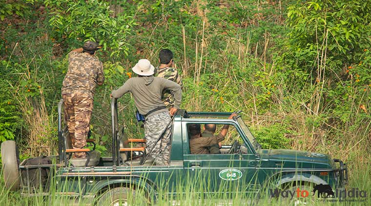 Corbett Elephant Safari Tour - Image 2