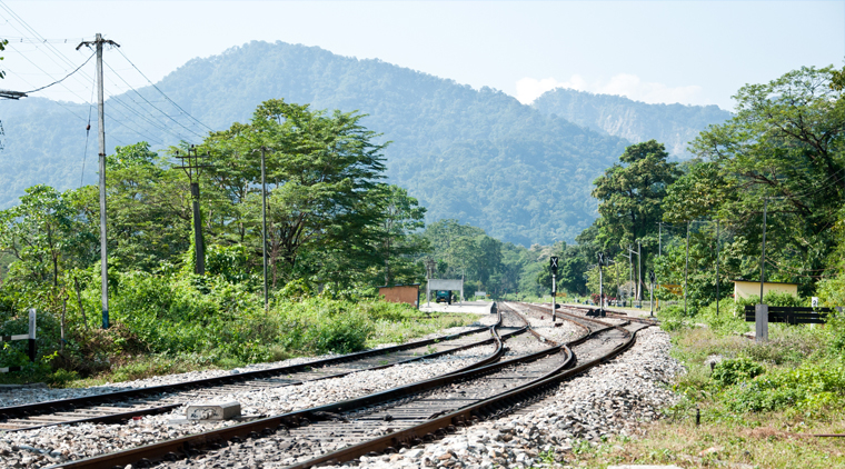 Darjeeling Gangtok Kalimpong Tour Package - Image 2