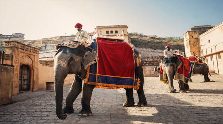 Delhi Agra Jaipur Udaipur Tour Package - Image 5