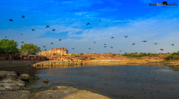 Jaisalmer Desert Festival Tour - Image 2