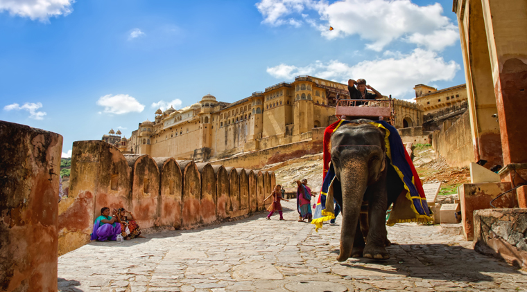 Elephant Festival Tour - Image 2