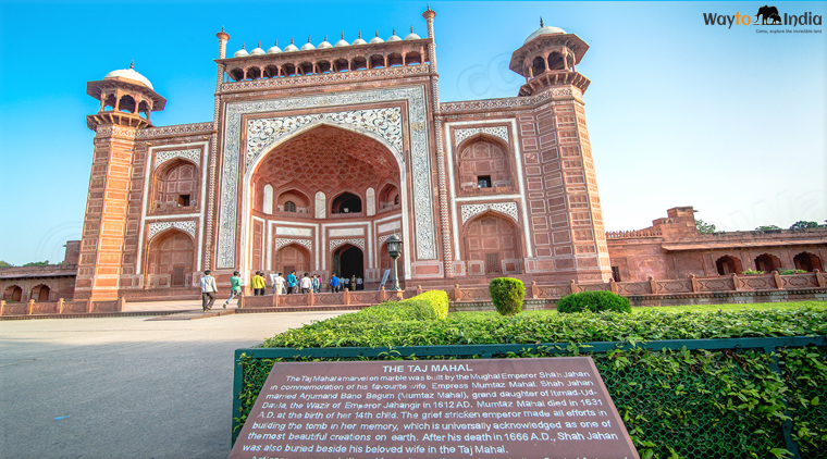 Golden Triangle and Gangaur Festival Tour - Image 4