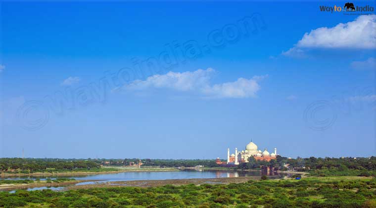 Golden Triangle Tour With Goa Beach - Image 5