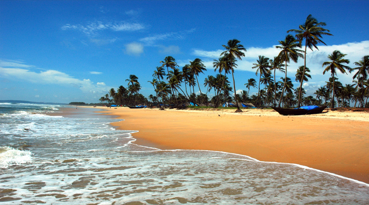 Golden Triangle Tour With Goa - Image 5