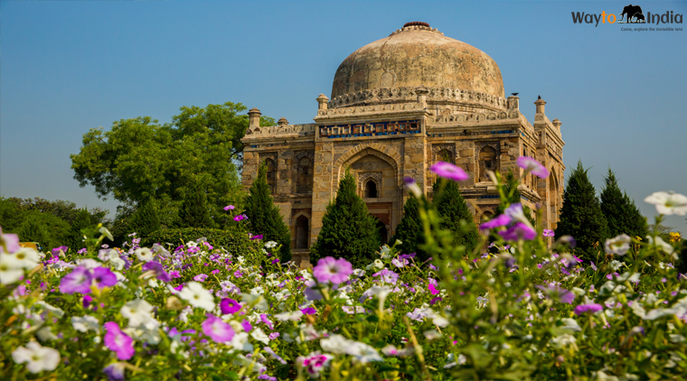 Golden Triangle Tour With Udaipur - Image 3