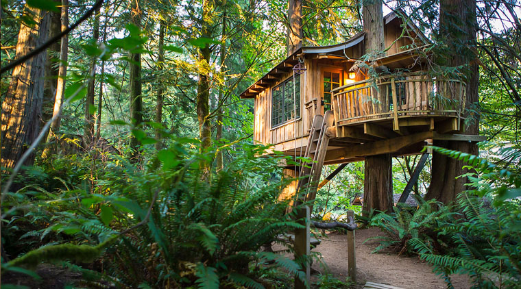 Heritage Kerala Tour with Tree House