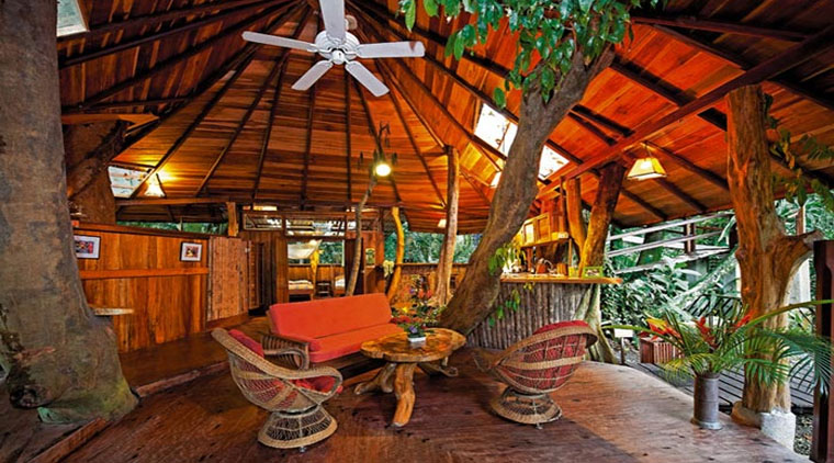 Heritage Kerala Tour with Tree House - Image 2