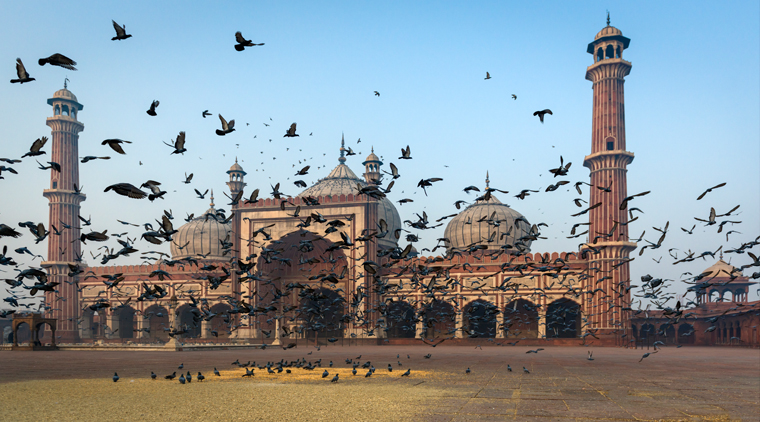 Himachal Holiday Tour Package - Image 5