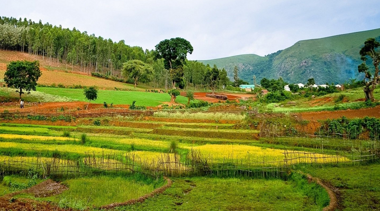 Hyderabad to Araku Tour Packages