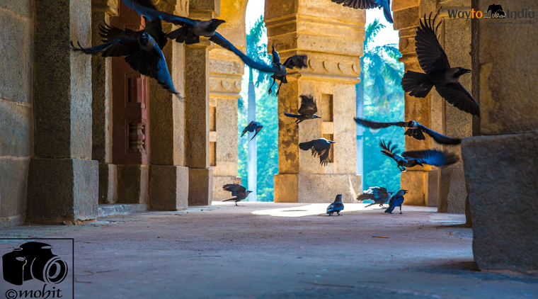 Jaipur Ajmer Pushkar Tour Packages From Delhi - Image 5