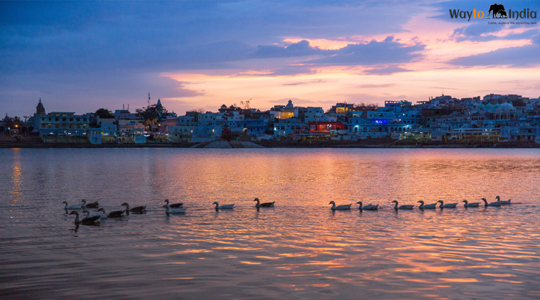 Jaipur Ajmer Pushkar Tour - Image 4
