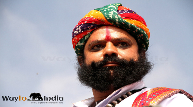Jaisalmer Desert Festival - Image 4