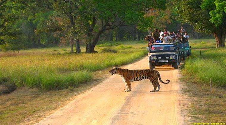 Kanha National Park Tour Package - Image 2