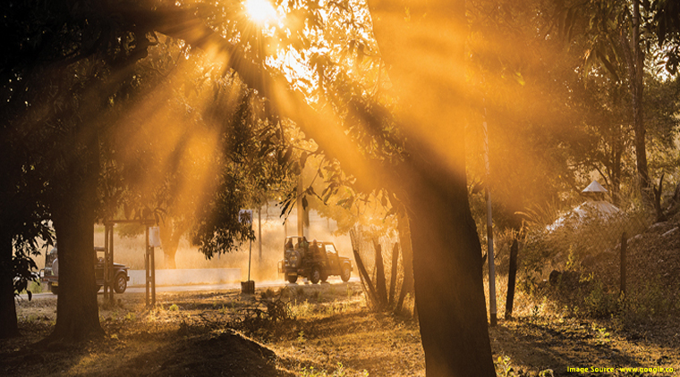 Kanha National Park Tour Package - Image 3