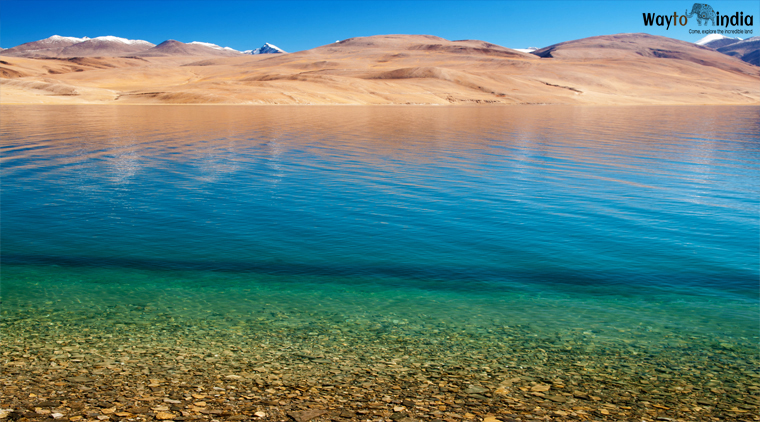 Kashmir Ladakh Tour Package - Image 2