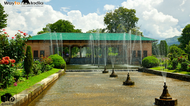 Kashmir Tour Package - Image 4