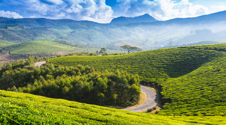 Kerala Hill Station Tour Package - Image 4