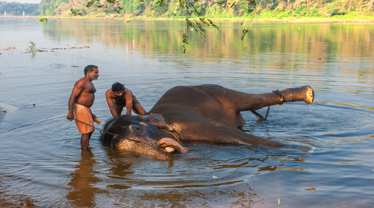 Kerala Houseboat Tour - Image 3