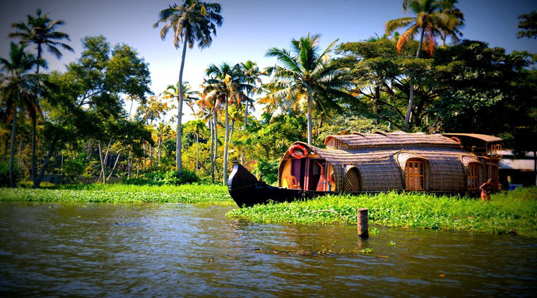 Kerala Trip Honeymoon Package