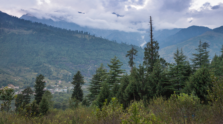 Kullu Manali Tour Package From Mumbai - Image 3