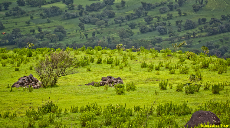Mahabaleshwar Tour - Image 4