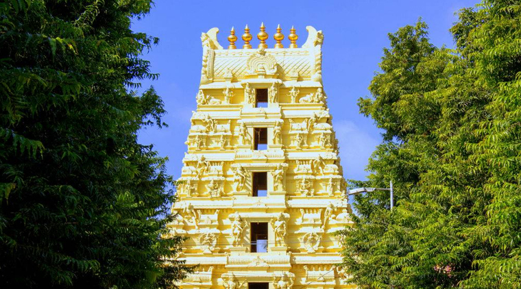 Mallikarjuna Jyotirlinga Tour Package - Image 2