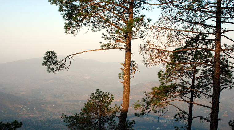 Mussoorie Hill Station Tour - Image 3
