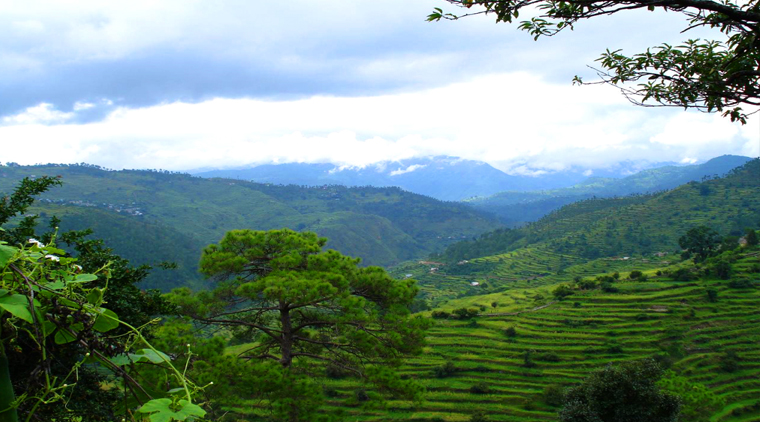 Nainital Almora Kausani Tour - Image 4