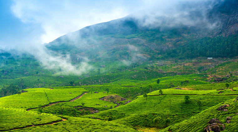 Ooty Kodaikanal Munnar Tour Package