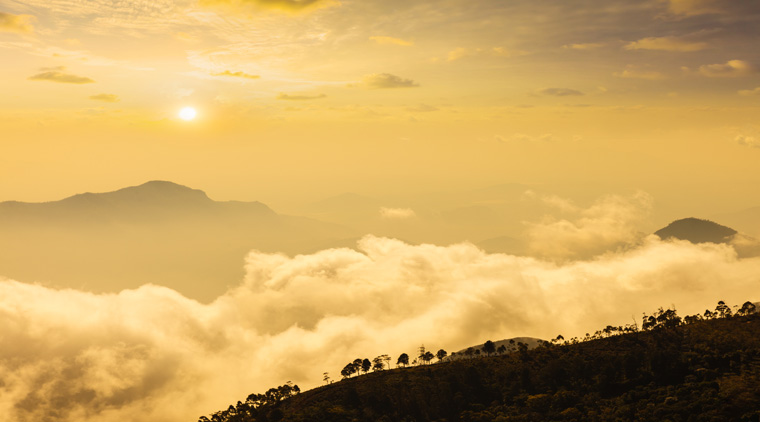 Ooty Kodaikanal Tour Package - Image 4