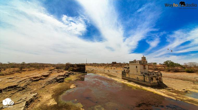 Rajasthan Holidays - Image 2