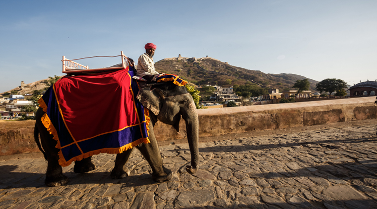 Rajasthan Holidays - Image 4