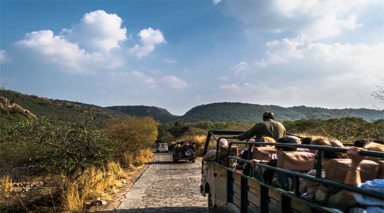 Ranthambore Jaipur Package