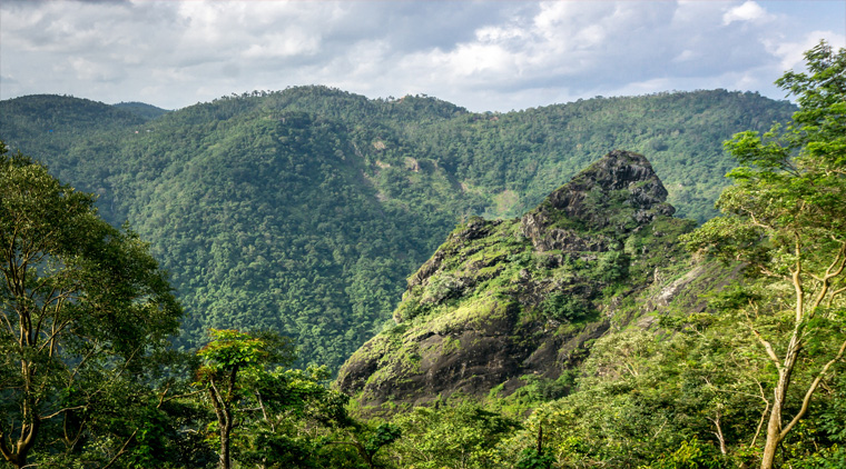 Romantic Tour of Kerala - Image 2