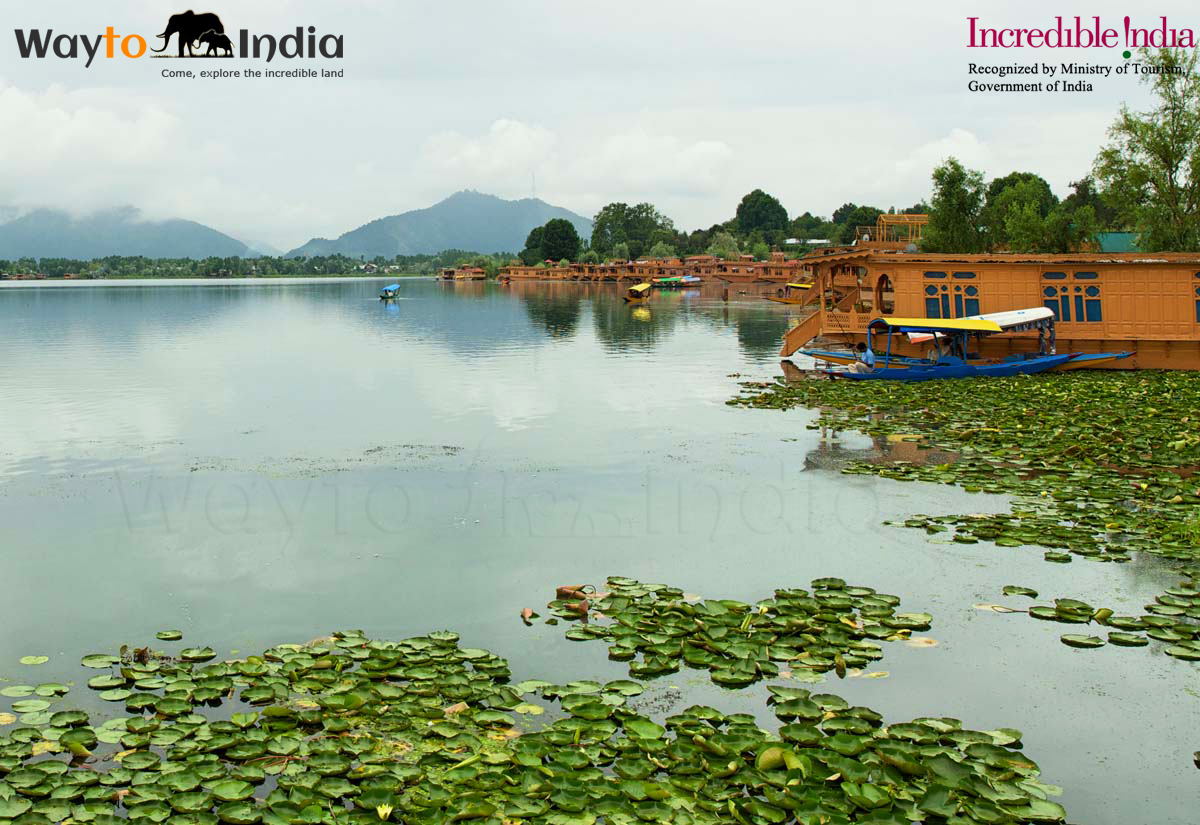 Srinagar To Leh Tour Package - Image 3