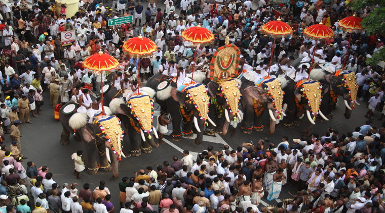 Thrissur Elephant Festival Kerala - Image 3