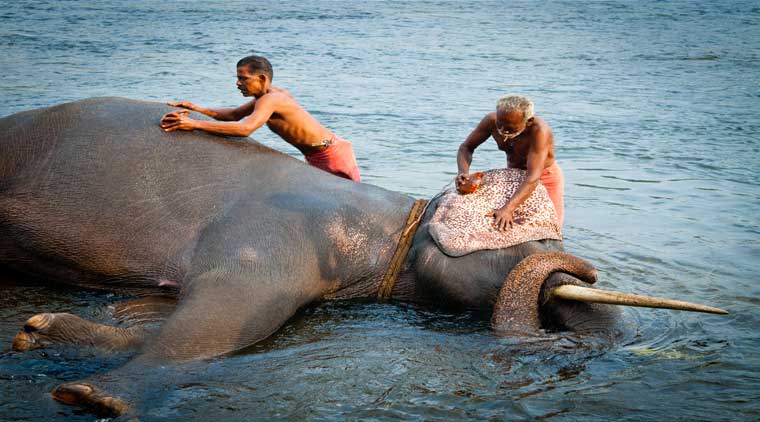 Tour Of South India - Image 2