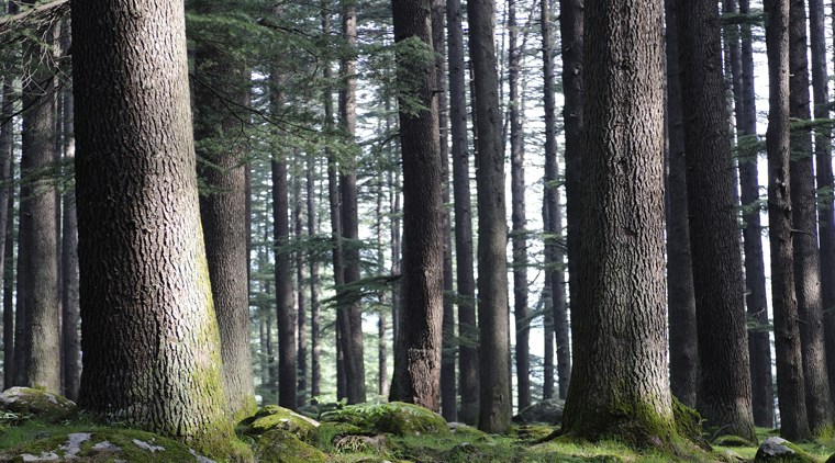 Trip to Dehradun - Image 2