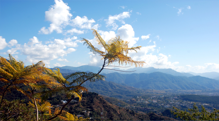 Uttarakhand Tour Package - Image 2